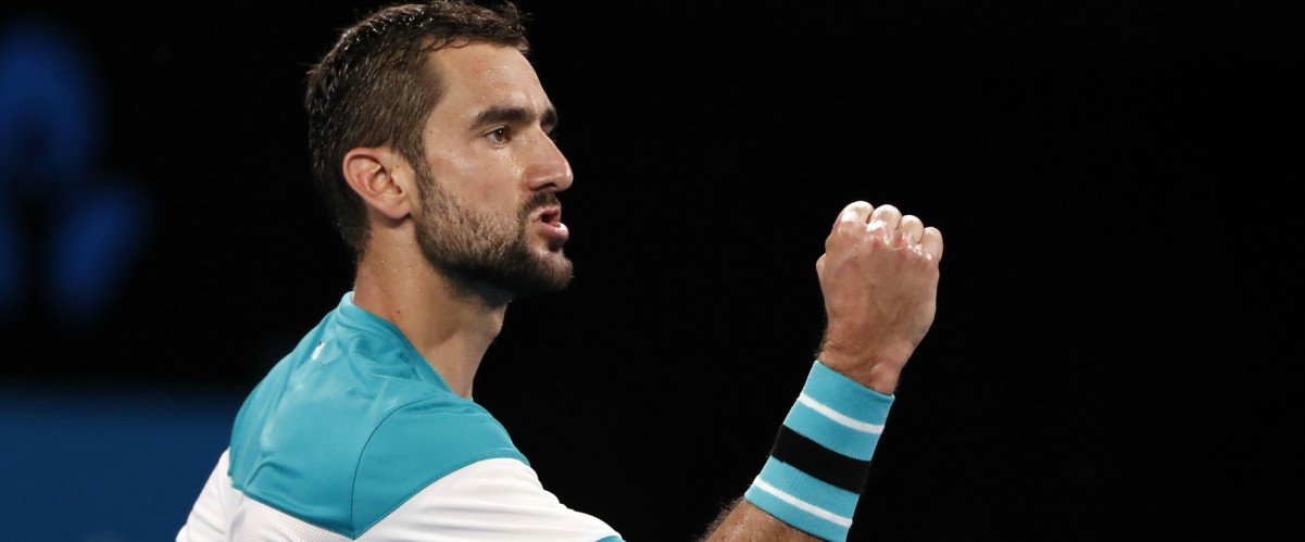 Cilic fist pump