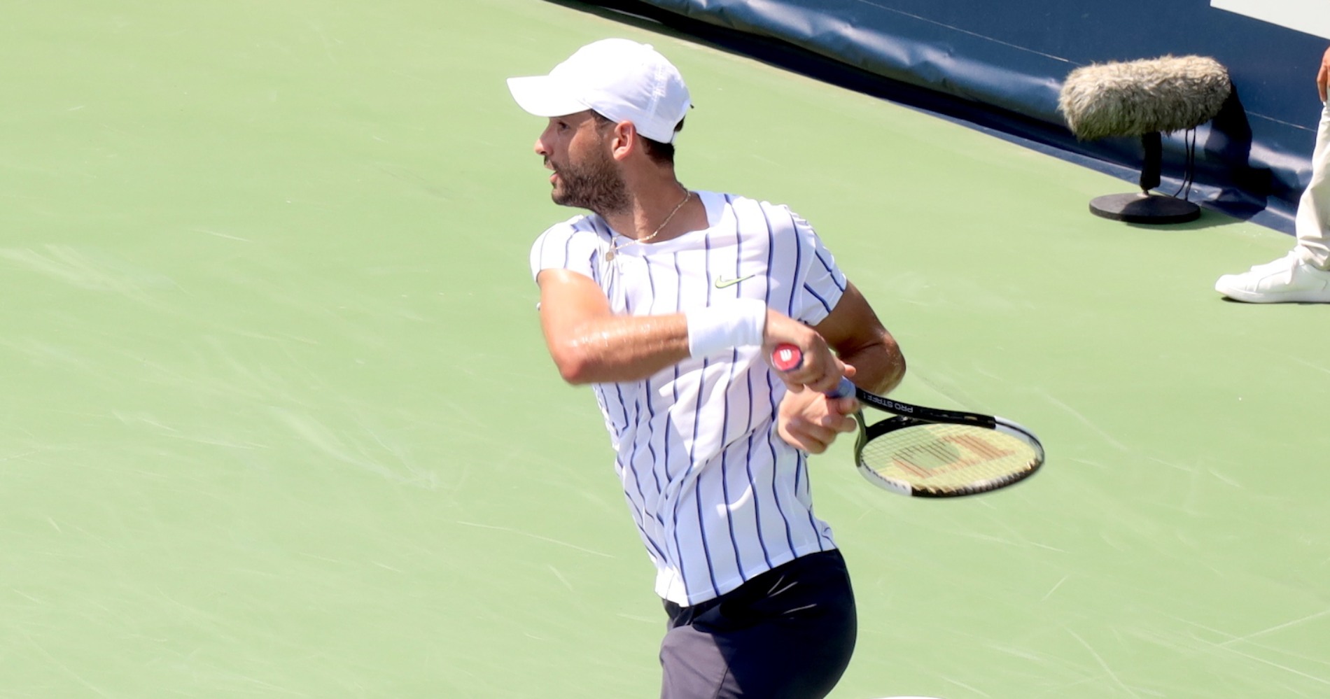 Grigor Dimitrov, UTS 2020