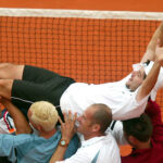 Sébastien Grosjean, 2002, Davis Cup