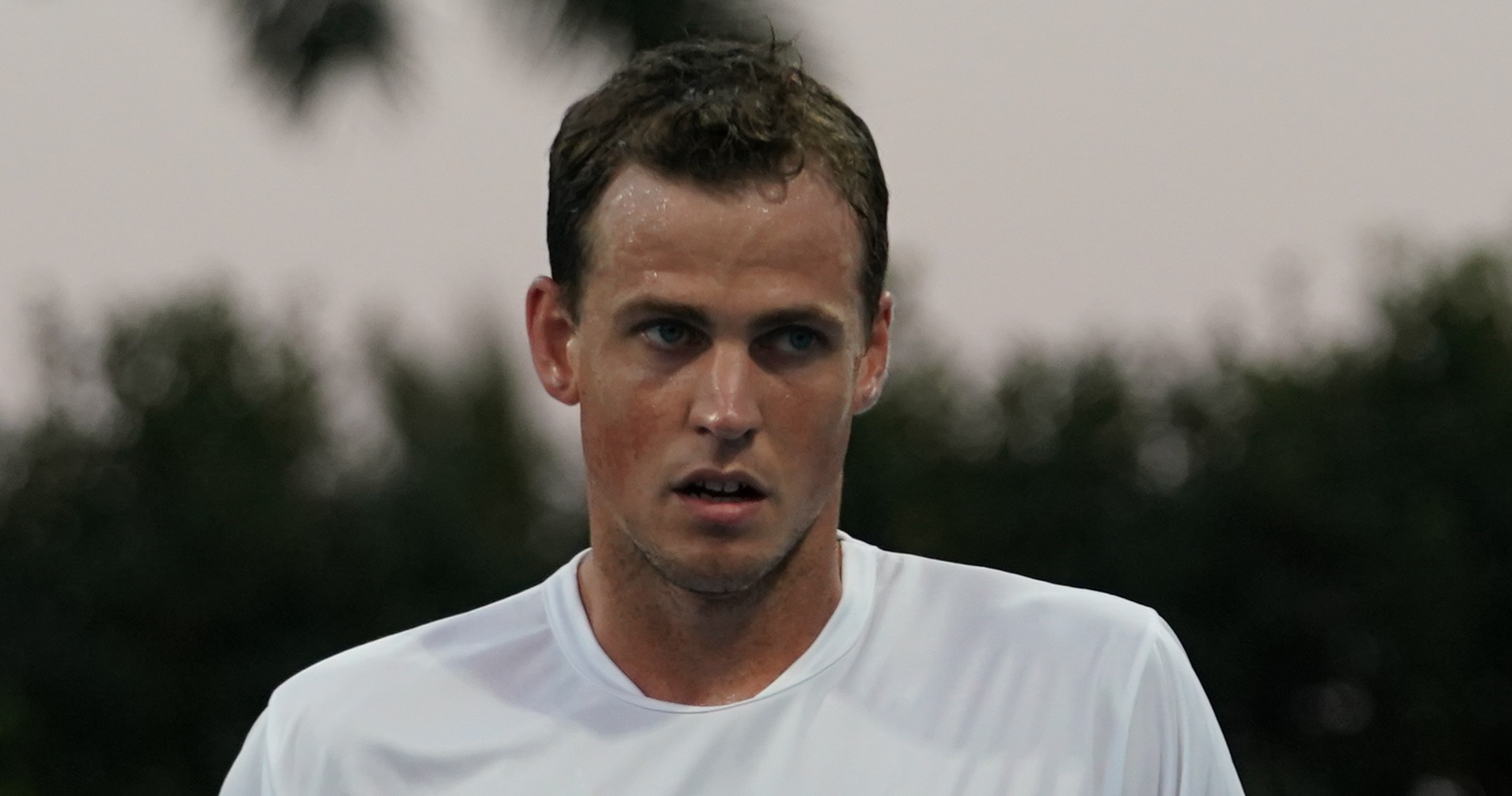 Vasek Pospisil